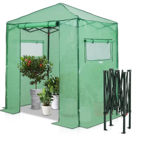 EAGLE PEAK 6x4 Easy Setup Small Pop Up Greenhouse, Clear/Green - color: Clear/Green, size: 6x4
