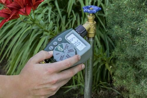 Orbit Programmable Digital Hose Watering Timer - 1 Outlet - Battery Powered - with LCD Screen - Built-in Rain Delay - Water-Resistant - 62061 (3-Pack 1 Outlet) - size: 1 Outlet (Pack of 3)