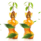 Plant Propagation Jars Unique Body Avocado Vase - color: Amber