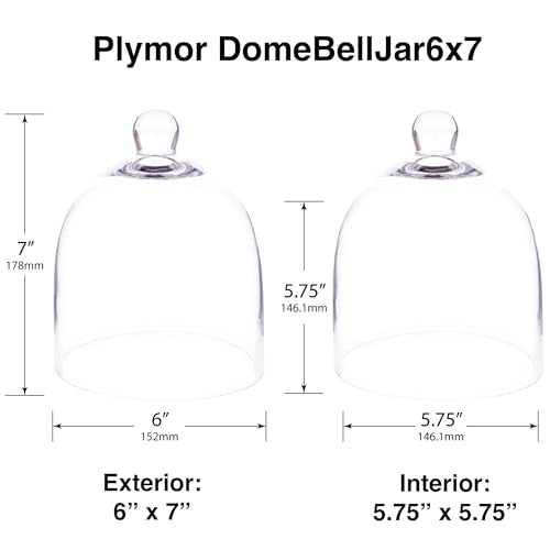 Plymor 6" x 7" Bell Jar Glass Display Dome Cloche (Small - Interior Size 5.75 inch x 5.75 inch) - size: 6" x 7"