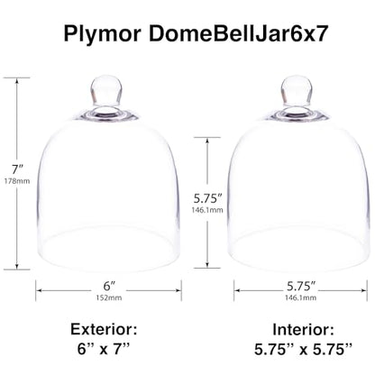 Plymor 6" x 7" Bell Jar Glass Display Dome Cloche (Small - Interior Size 5.75 inch x 5.75 inch) - size: 6" x 7"