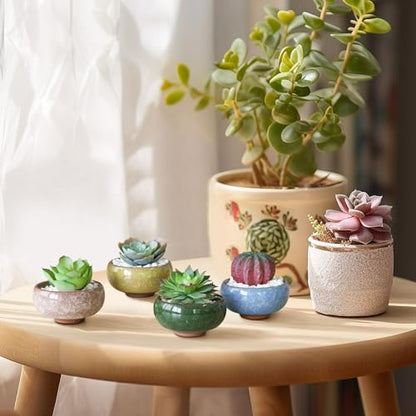 T4U Mini Succulent Pots, Small Shallow Ceramic Pots, Retro Gift Set of 12 - size: Small