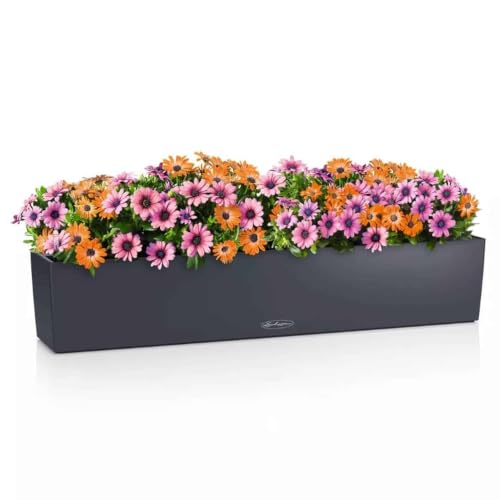 Lechuza 15918 Balconera Color 100 Self-Watering Planter, Slate - color: Darkslategray