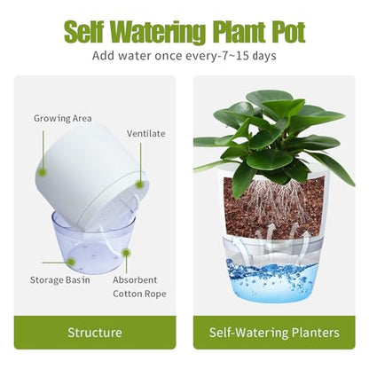 Oliz 6" Self Watering Pots for Indoor Plants, 3pk White w/Drainage Holes - color: White 3pcs