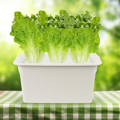Hydroponics Grower Kit DIY Self Watering Indoor Hydroponics Tools Hydroponic System Planting Container Include Aquarium Air Pump Buoy Planting Box