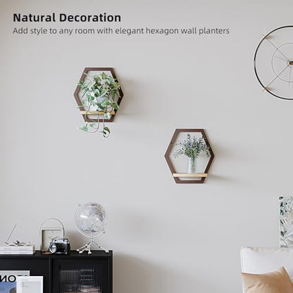 2 Pack Hexagon Wall Plant Stands, 9 Inch Wood Shelf Coffee - color: 2 pack coffee