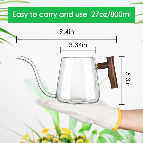 Watering Can Indoor Plants, 27 OZ Glass Watering Can, Long Curved Spout