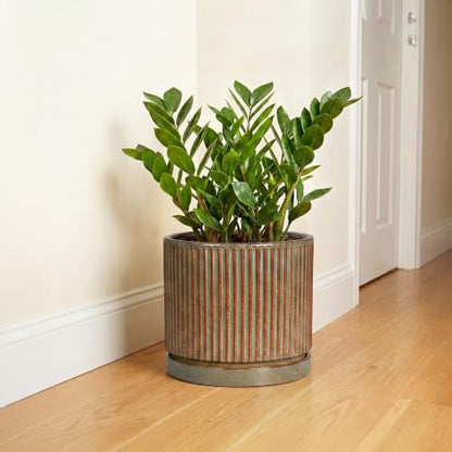Ceramic Plant Pots, 10 Inch Planter with Tray, Retro Brown - color: Retro Brown, size: 10 Inch