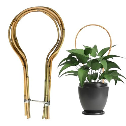 6 Pack Bamboo Trellis Round-Shaped for Potted Plant, 16 Inch Plant Support Stake for Climbing Vines, Decorative Hoop Stake for Potted Hoya