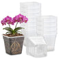 BTPLASTIK Clear Square Nursery Pots, 30 Packs 4 Inch Clear Hydroponics Growing Square Pots, Transparent Plastic Plant Pots for Seed Starting, Root Cutting - size: 4 Inch-30P