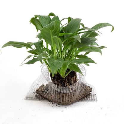 4Pcs 10 Gallon Root Guard Gopher Proof Wire Baskets for Root Protection - size: 10 Gallon