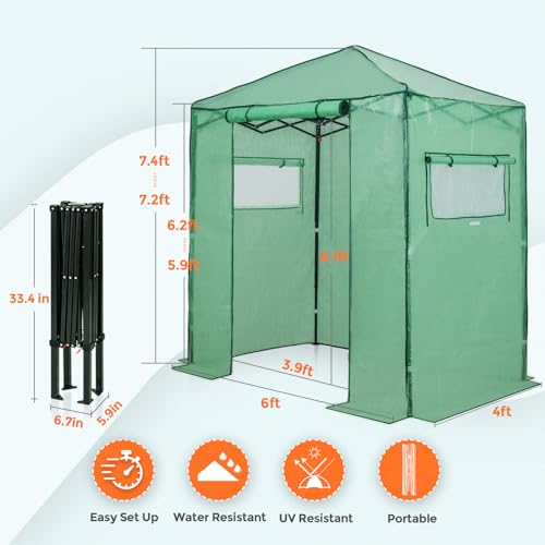 EAGLE PEAK 6x4 Easy Setup Small Pop Up Greenhouse, Clear/Green - color: Clear/Green, size: 6x4