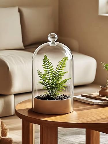 Handmade Glass Cloche, Thick & Sturdy, Dia 6"xH 12", For Terrarium, Plants, Trinkets, Cakes, Figurines, LED Light String, Candle. Cloche Glass Dome, Bell Jar Display Case (1, 6"x12") - size: 6"x12"