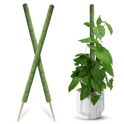 DUSPRO 2 Pack 42" Mesh Moss Pole for Climbing Plants, Pre-Made Moss Pole - size: 42''