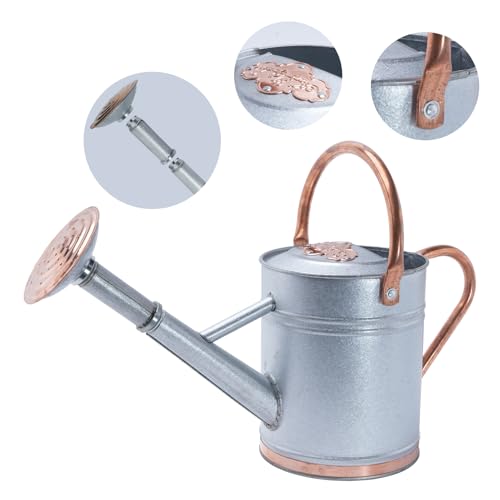 1 Gallon Outdoor Metal Watering Can with Real Copper Details - color: Stardust & Vermilion
