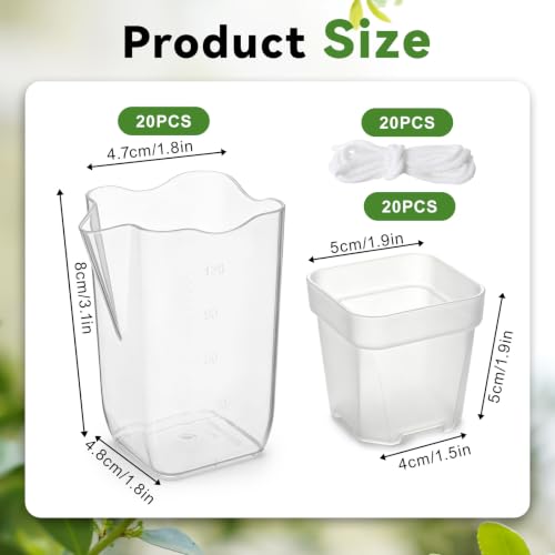 20 Pack 2 Inch Small Self Watering Pots for Indoor Plants - size: 2in