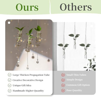 Glasseam 4 Pack Hanging Plant Propagation Stations with Crystal Suncatchers