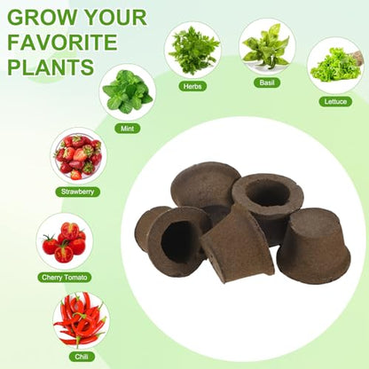 M METERXITY 5-Pack Grow Sponges, 3.5x2.3x2.4 Inch Replacement Root Growth Sponges Seed Pods for Plant Rooting/Seed Germination/Hydroponic Gardens System Supplies, Starter Plug for Seeds - size: 3.5x2.3x2.4 Inch