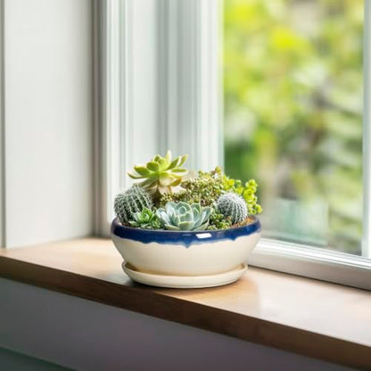 SQOWL Succulent Pots 6 Inch, Ceramic Bonsai Pots with Saucer, Blue-Beige - color: Blue-beige, size: 6 Inch