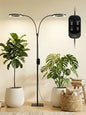 GLOWRIUM Tall Plant Grow Light for Indoor Plants, Full Spectrum Plant Light - color: Black (Dual Heads)