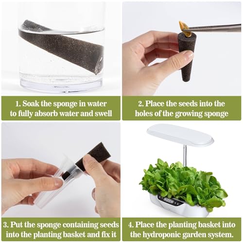 MAQIHAN 100 Grow Sponges for Hydroponics - Seed Starter Pods for Planting
