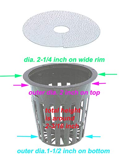 HORTIPOTS 2 Inch Net Pot, Wide Rim Design (Set of 75)