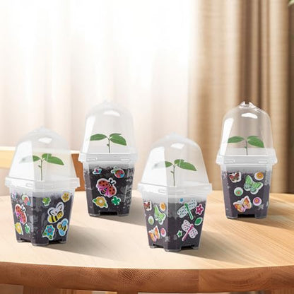 EBaokuup 10 Pack 3 Inch Clear Plant Nursery Pots with Humidity Domes - color: 10pcs-color, size: 3 Inch