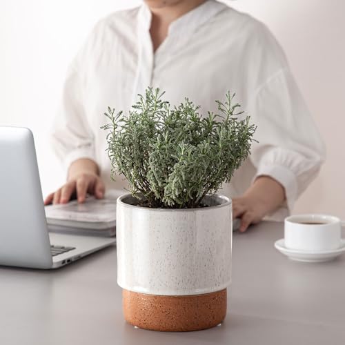 6 Inch Ceramic Self Watering Planter with Drainage Hole, Grey - color: Retrogrey, size: Small