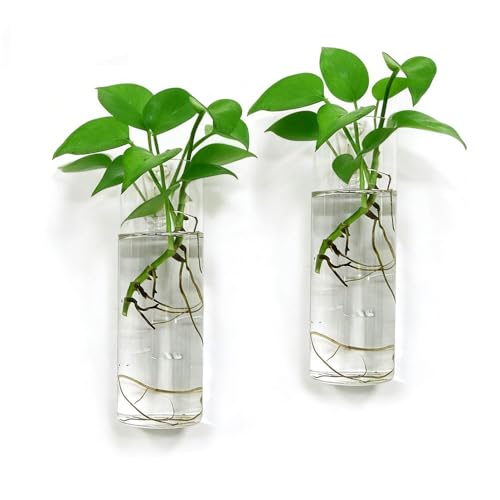 Wall Hanging Planter Propagation Station, Indoor Decor Glass Vases, 2 Pack
