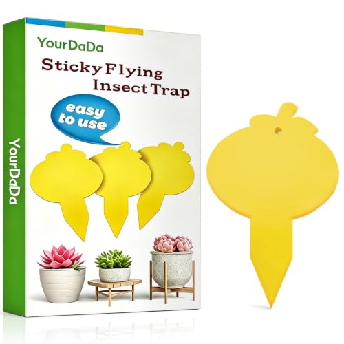 Yellow Sticky Traps for Fruit Fly, Whitefly, Fungus Gnat, Mosquito, Fly and Bug, Sticky Insect Catcher Traps for Indoor/Outdoor/Kitchen, Extremely Sticky, Non-Toxic, Pet & Kid Safe (48 Pcs B) - size: 48 Pcs B