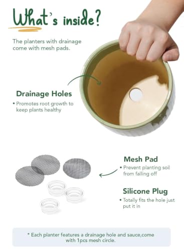 LE TAUCI Ceramic Pots for Plants, 8.3/7/6 Inch Indoor Planters with Drainage Holes & Mesh, Modern Glossy Glaze Cylinder Fluted Plant Pot for Snake Plant, Set of 3, Sage Green - color: Sage Green