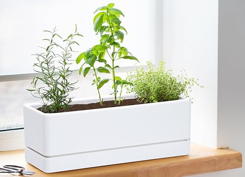 D'vine Dev 2-Pack Rectangular Planters, 12 x 4.5 in, White, 76-X-A-2 - color: White