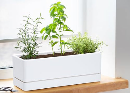 D'vine Dev 2-Pack Rectangular Planters, 12 x 4.5 in, White, 76-X-A-2 - color: White