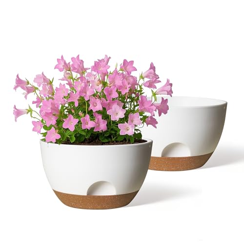 12 Inch Large Self Watering Pots, 2 Pack Plant Pots with Drainage Holes and Saucers, Self Watering Planter for Indoor Outdoor Garden Plants and Flowers (White) - color: White