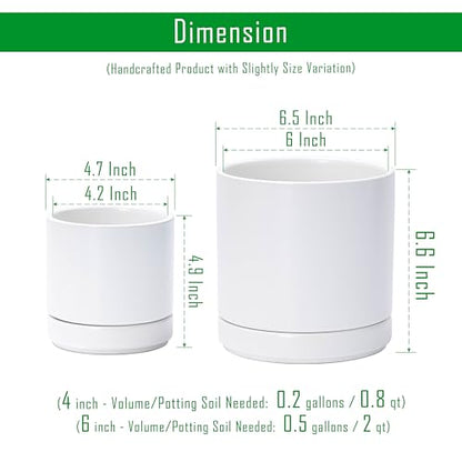 D'vine Dev 2-Pack Ceramic Pots with Saucers, White, 4/6 in, 94-G-S-1 - color: White, size: Small