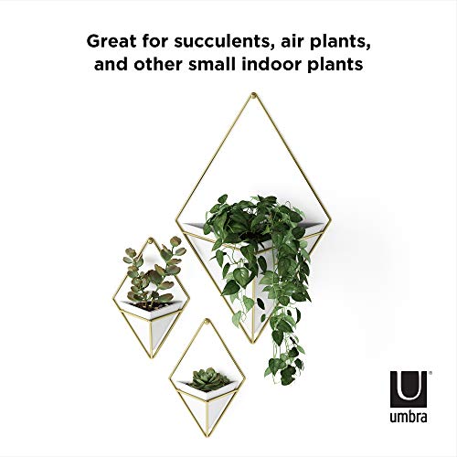 Umbra Trigg Hanging Planter for Small Plants, Large, White/Brass - color: White/Brass, size: Large