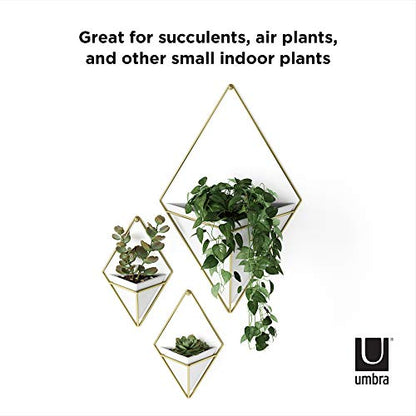 Umbra Trigg Hanging Planter for Small Plants, Large, White/Brass - color: White/Brass, size: Large