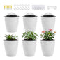 ORIMERC 6 Pack Hanging Planter Wall Planter Self Watering 5 inch Plant Pot with Hardware Vertical Planter Outdoor Indoor Plants Herb Garden Home Décor Kitchen Balcony Railing Shelf Fence (Medium) - size: 6*Medium