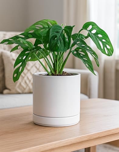 D'vine Dev 6.5 Inch Ceramic Planter Pot, White, 94-O-C-1 - color: White, size: Small