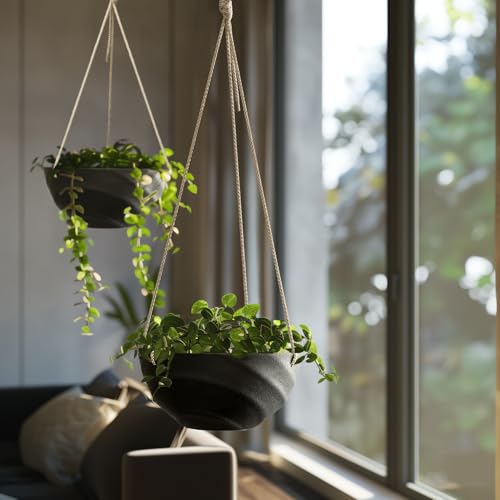 La Jolie Maison Self-Watering Indoor Hanging Planters, Set of 2,10 Inch - color: Jet Black