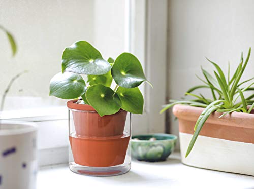 D'vine Dev Self Watering Terracotta Planter Pot, 4 in, 3-Pack, 37-Z-A-1-T - color: Terracotta
