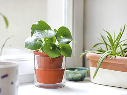 D'vine Dev Self Watering Terracotta Planter Pot, 4 in, 2-Pack, 37-Y-A-1 - color: Terracotta, size: 4 Inch