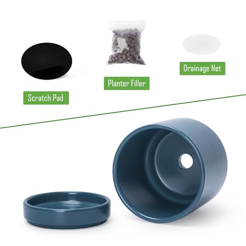 D'vine Dev 2-Pack Ceramic Pots with Saucers, Teal, 3.5 in, 94-V-A-9 - color: Teal, size: 3.5 Inch