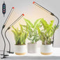 3Pack Full Spectrum Clip Grow Lights for Indoor Plants - size: Clip-1Head-9W(3Pack)