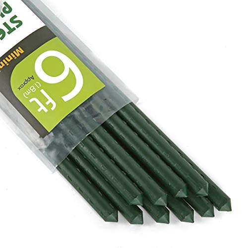 Mininfa Steel Plant Stakes 6 Feet, Plastic Coated Metal Garden Stakes Supports Climbing for Tomatoes, Trees, Beans, 10 Pack - size: 6 Feet 10 Pack