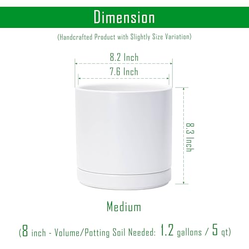 D'vine Dev 8.2 Inch Ceramic Planter Pot, White, 94-O-D-1 - color: White, size: Medium