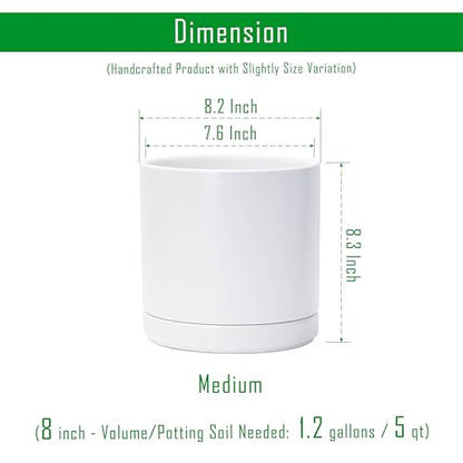 D'vine Dev 2-Pack Ceramic Pots with Saucers, White, 8.2 in, 94-V-D-1 - color: White, size: 8 Inch