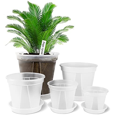GREENPARA Clear Plant Nursery Pots with Saucer for Indoor & Outdoor Plants