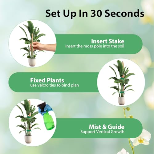 2 Pack Bendable Moss Pole, 63" DIY Shape Monstera Plant Support - size: 2-Pack (63 in)
