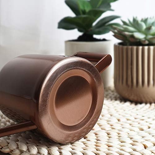 Mini Watering Can, 10oz/300ml Stainless Steel Long Spout Small Watering Can for Indoor Plants Succulents, Herbs (Bronze) - color: Copper